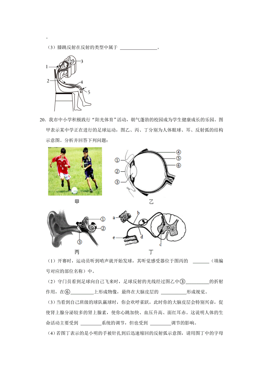 人教版七年级下册生物单元测试AB卷第四单元第六章A卷_第4页