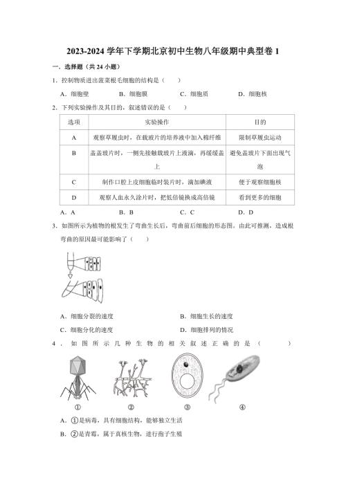 北京生物八年级下册期中典型卷1