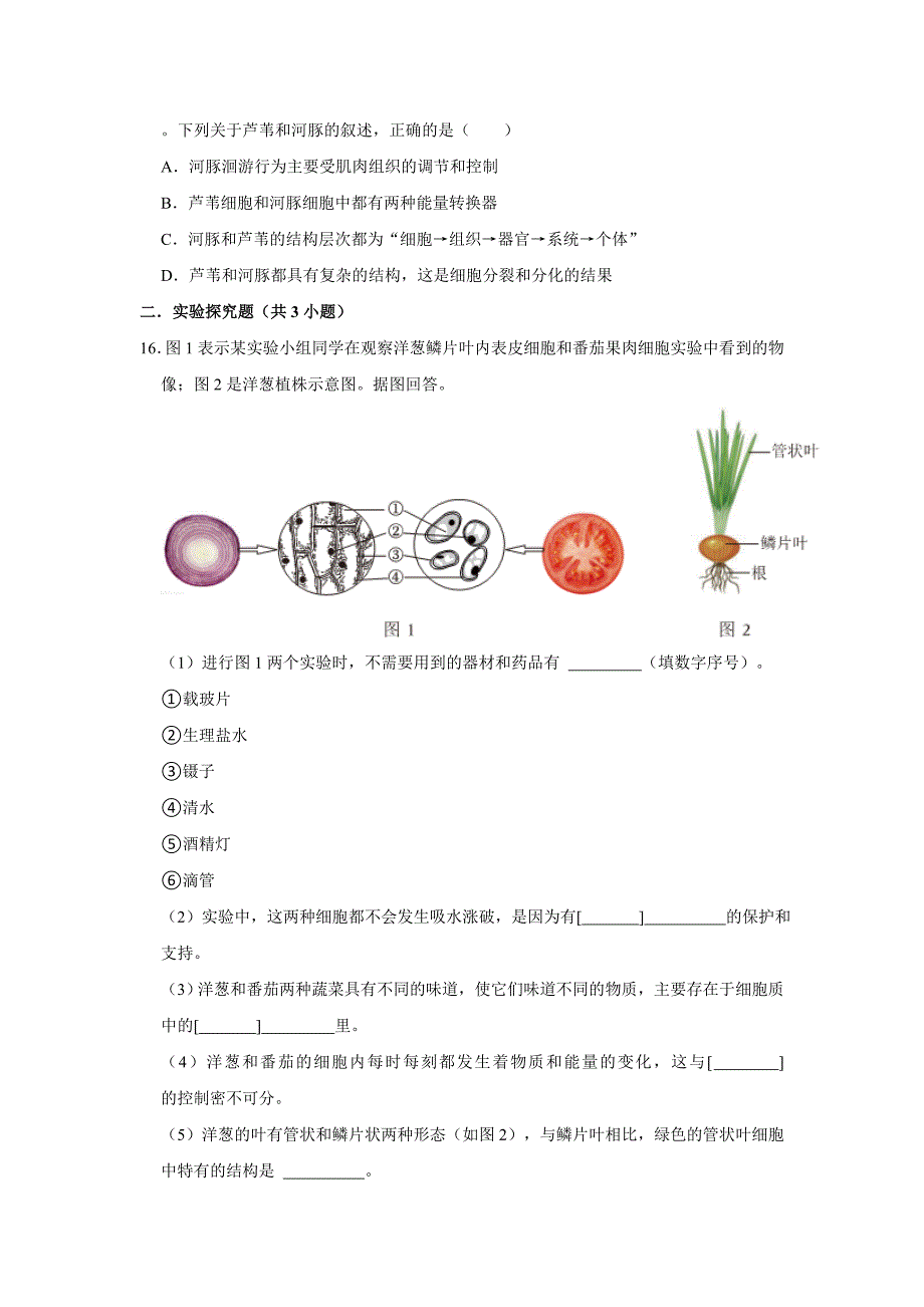 人教版生物会考一轮复习之生物体的结构层次_第4页