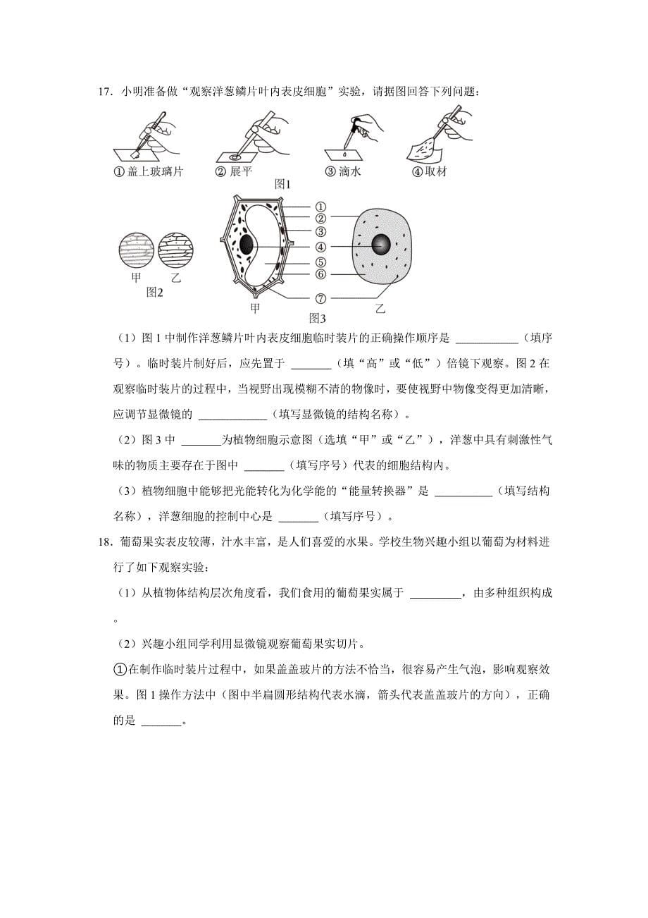 人教版生物会考一轮复习之生物体的结构层次_第5页