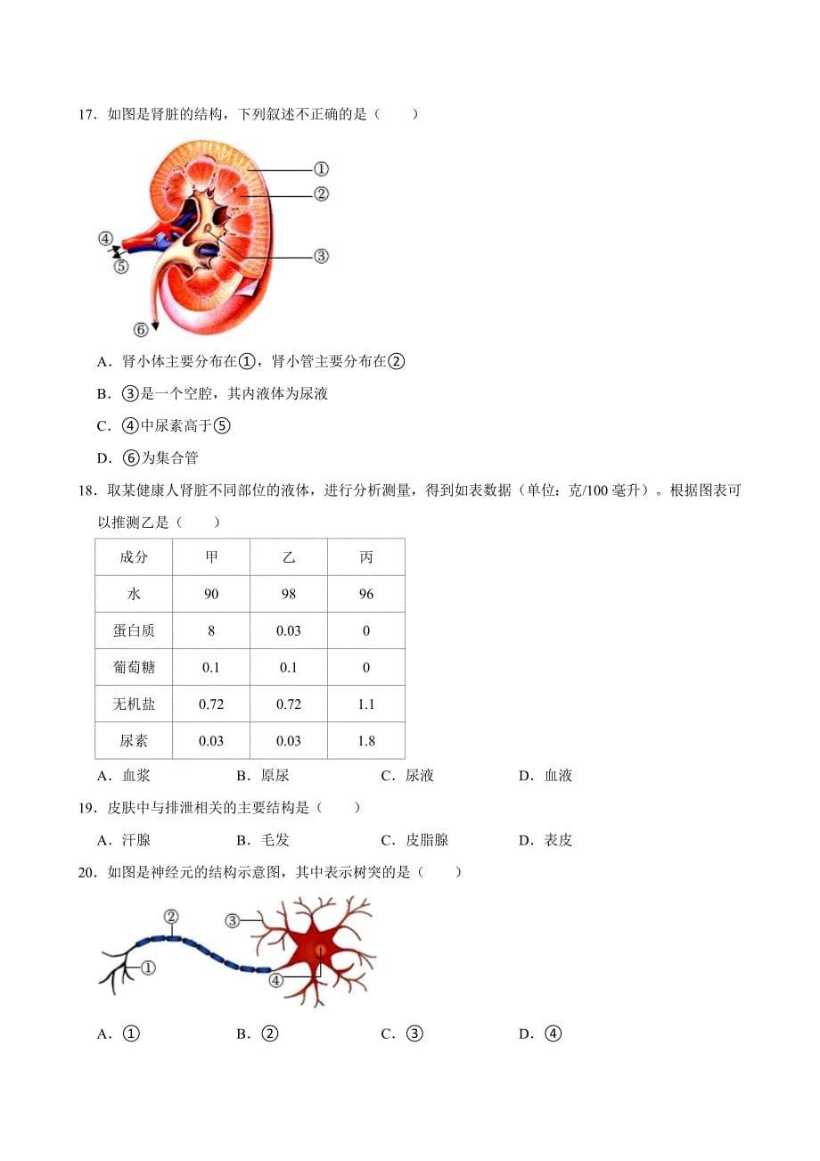 北京初中生物七年级下册期末典型卷2_第5页