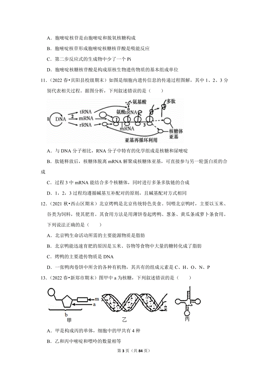 暑期新高一生物新课预习之《2.5核酸是遗传信息的携带者》_第3页