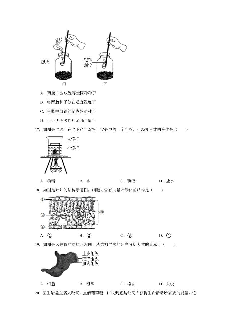 北京七年级下册生物开学模拟卷2_第5页