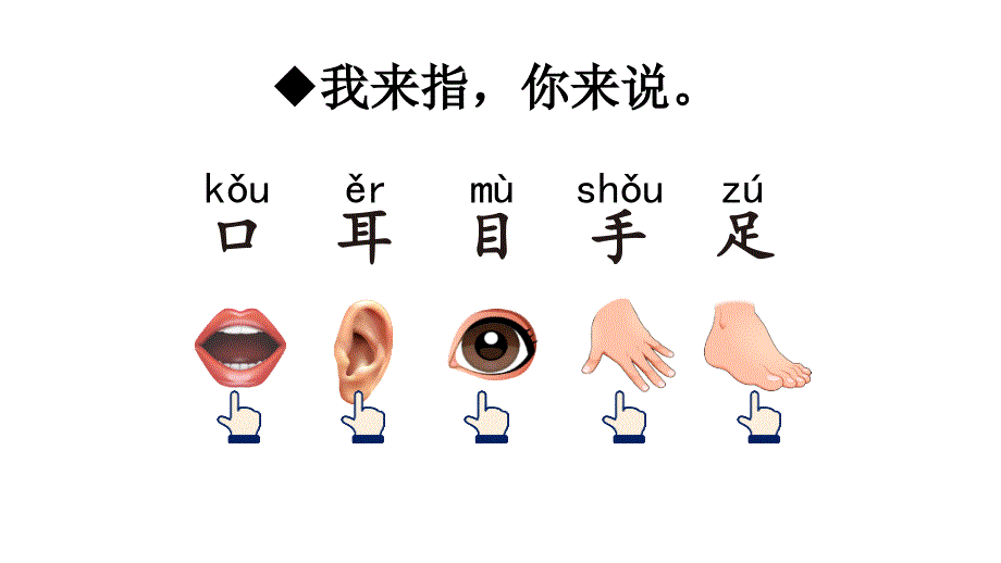 2023秋统编版语文一年级上册第一单元第3课 口耳目【课件】_第4页