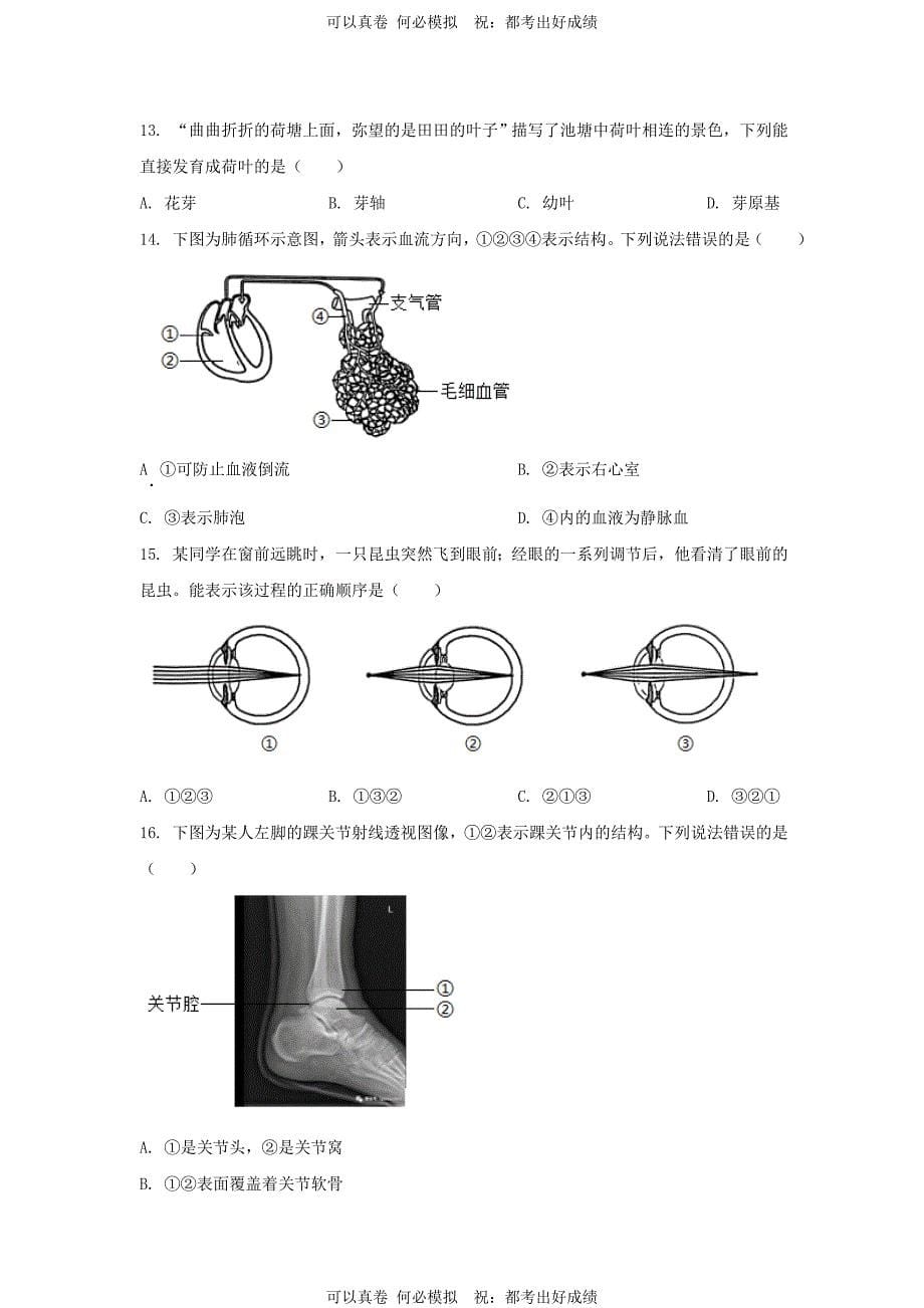 2024年河北邢台中考生物试题及答案_第5页