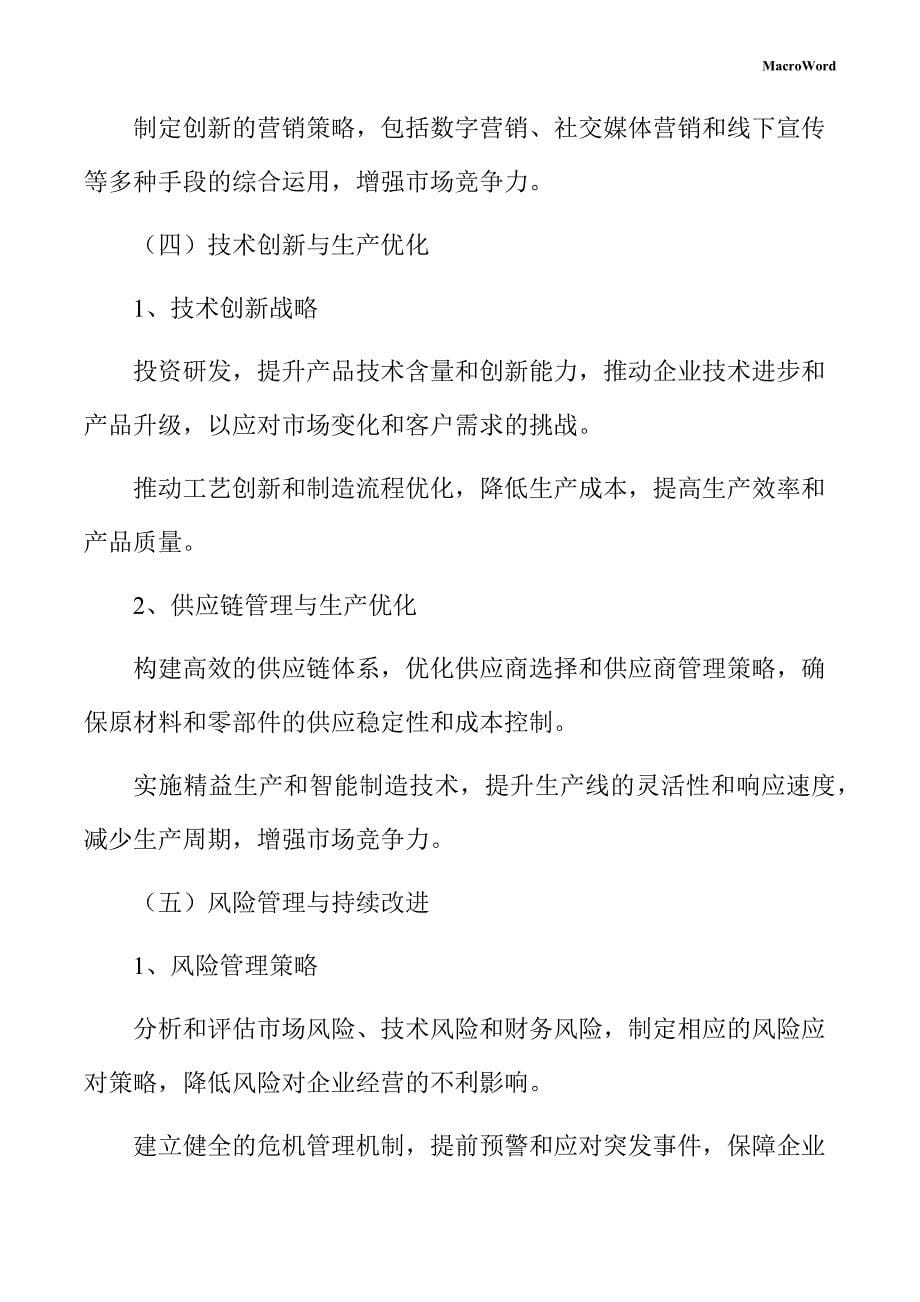 显示仪表项目企业经营战略方案_第5页