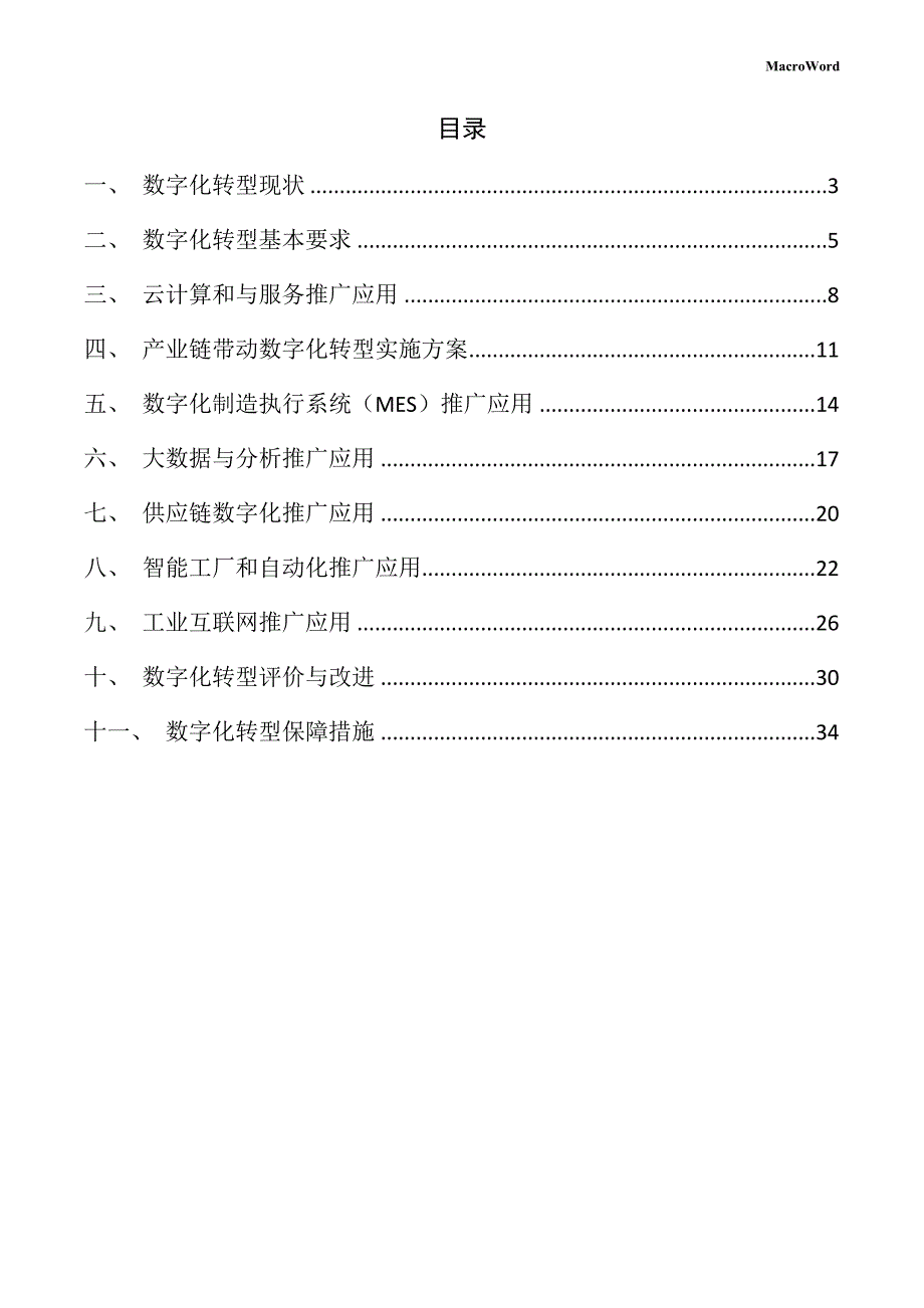 腰饰项目数字化转型手册_第2页