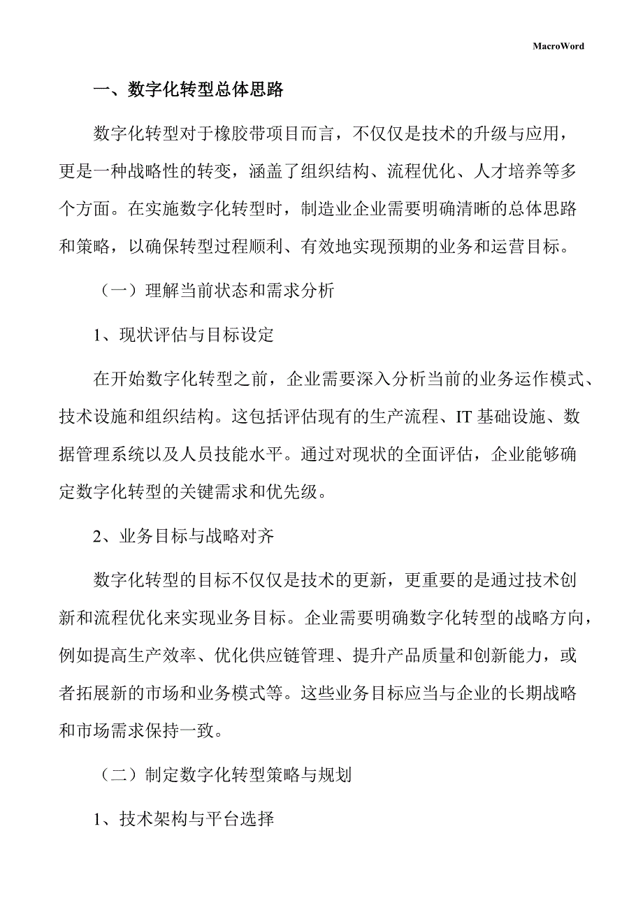 橡胶带项目数字化转型手册_第3页