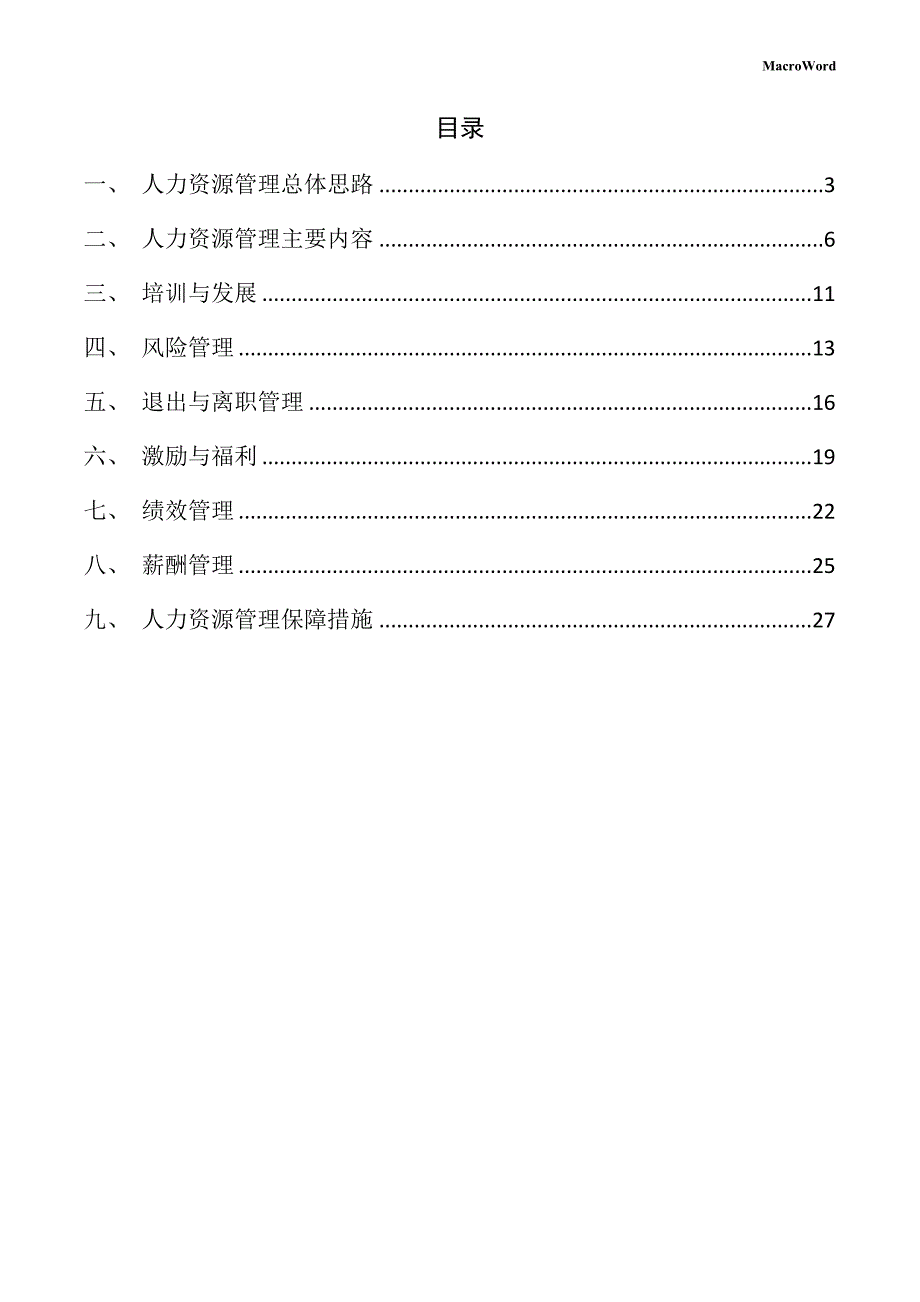 气体放电灯项目人力资源管理方案_第2页