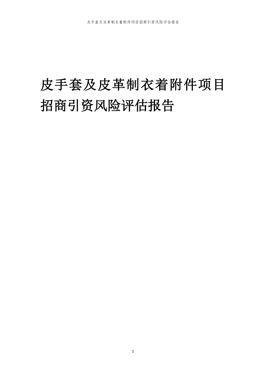 2023年皮手套及皮革制衣着附件项目招商引资风险评估报告_第1页