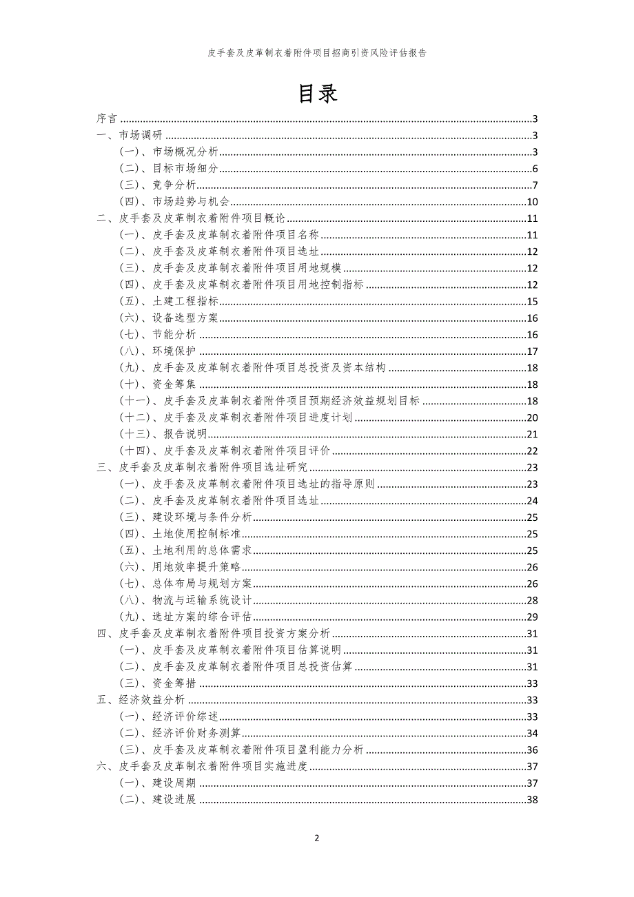 2023年皮手套及皮革制衣着附件项目招商引资风险评估报告_第2页