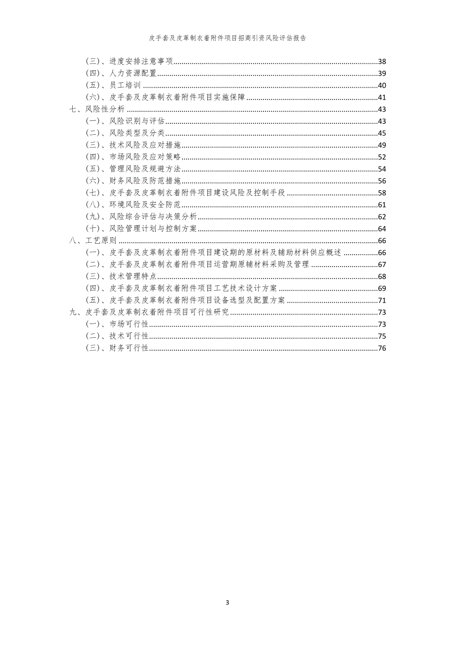 2023年皮手套及皮革制衣着附件项目招商引资风险评估报告_第3页