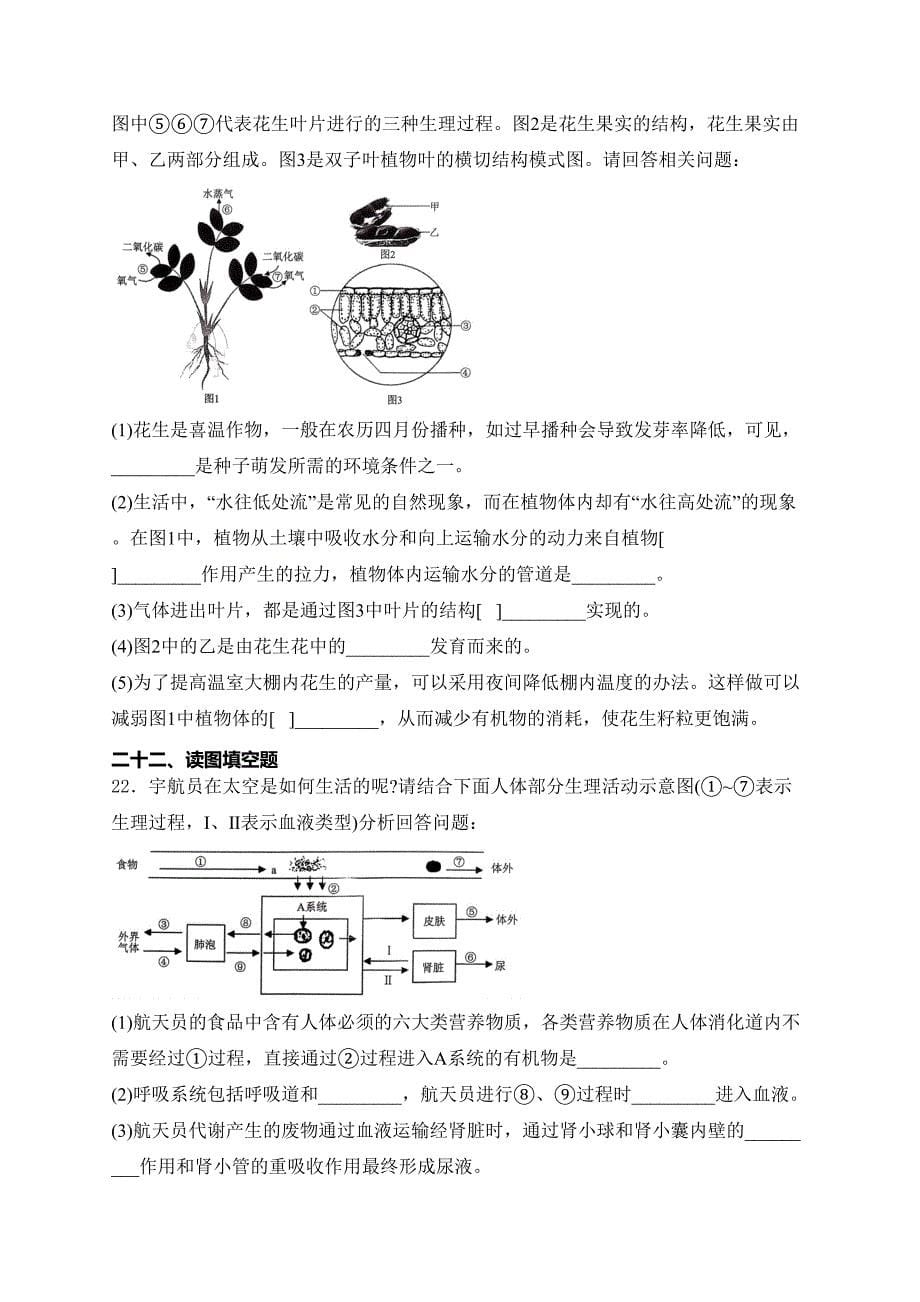 河南省濮阳市清丰县2024届九年级下学期中考模拟考试（五）生物试卷(含答案)_第5页