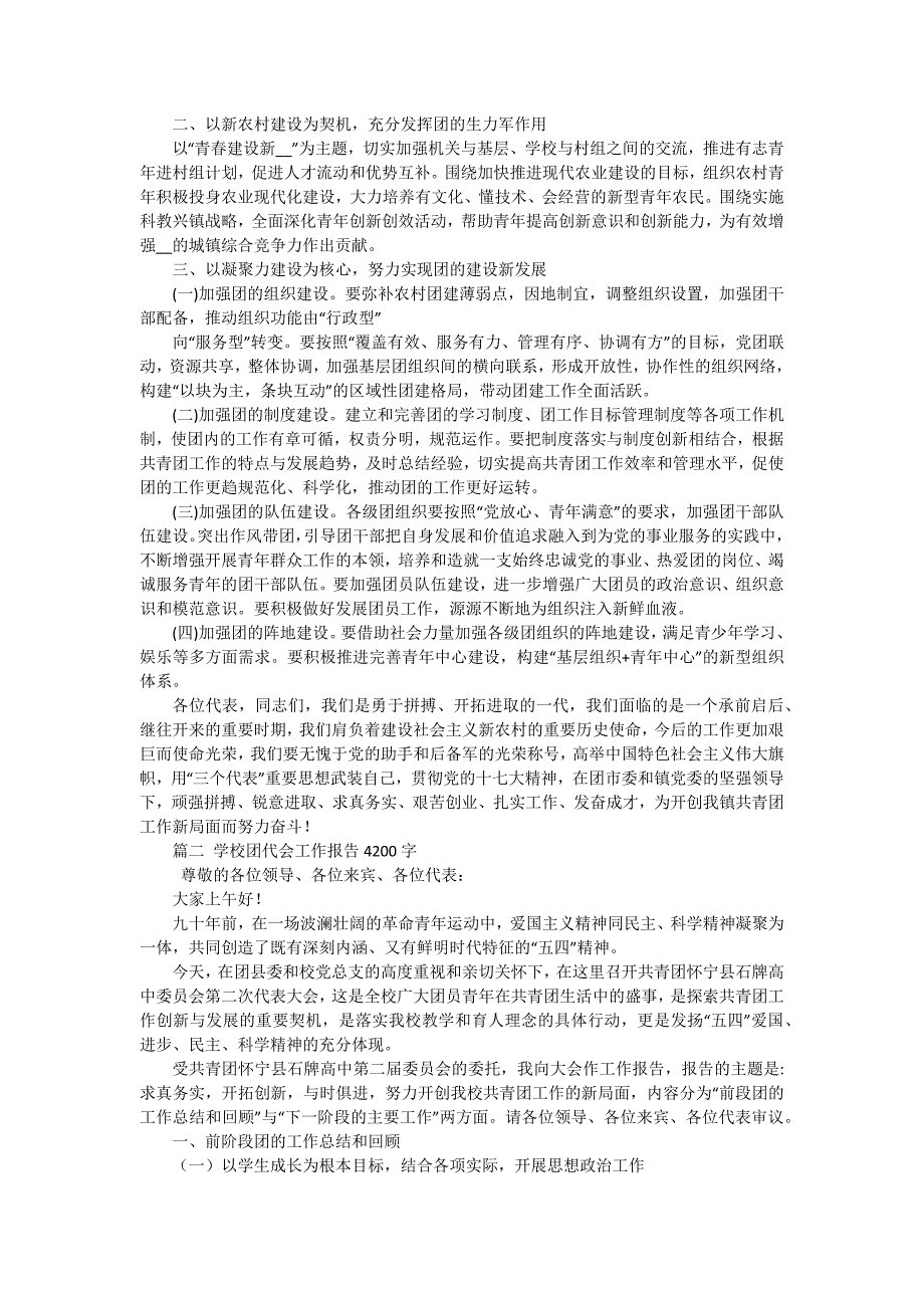 2024团代会工作报告（十五篇）_第3页