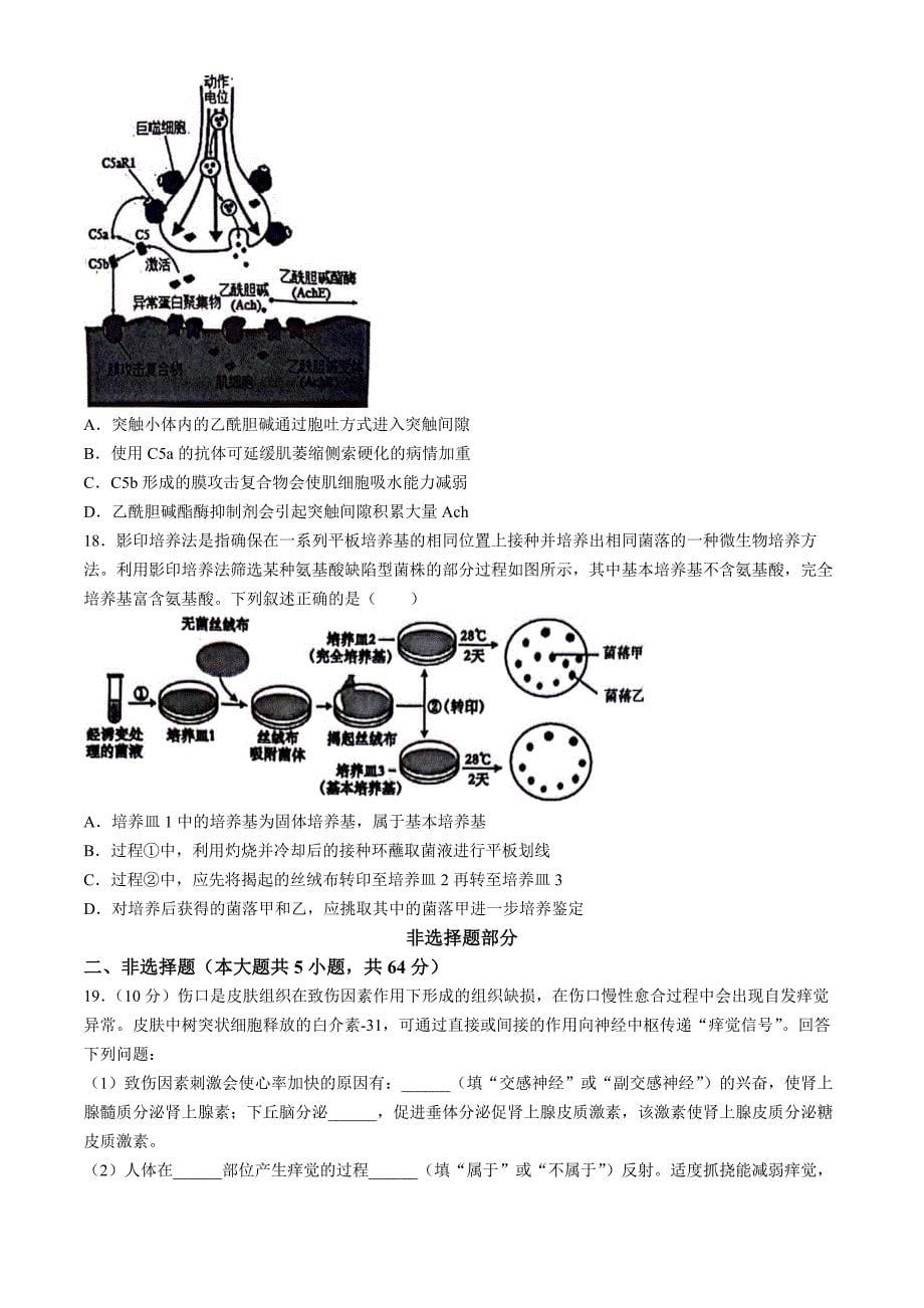 2024浙江宁波市高二下学期期末考生物试题及答案_第5页