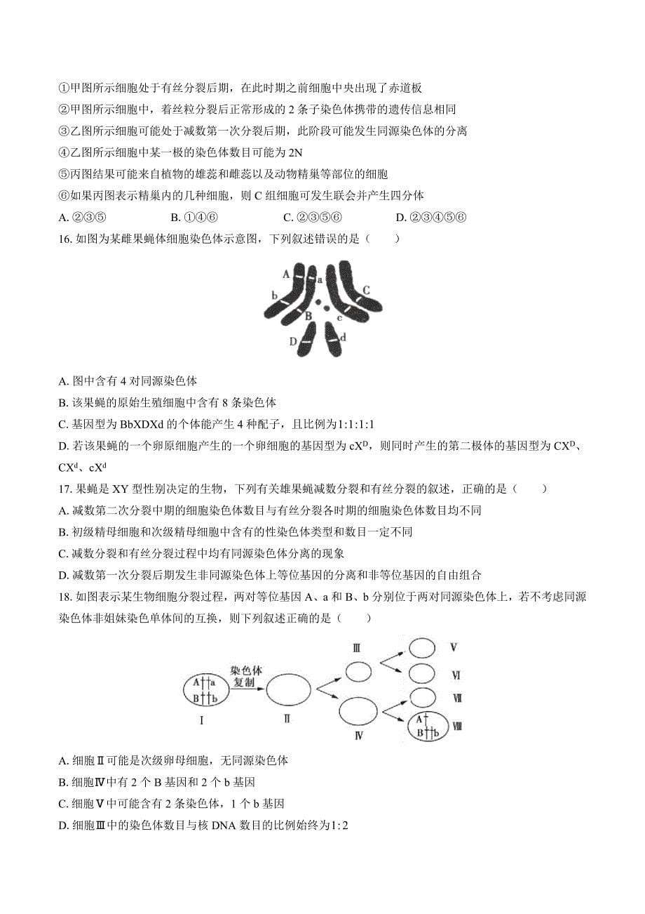 （人教版）高中生物必修2遗传与进化 第2章综合测试03_第5页