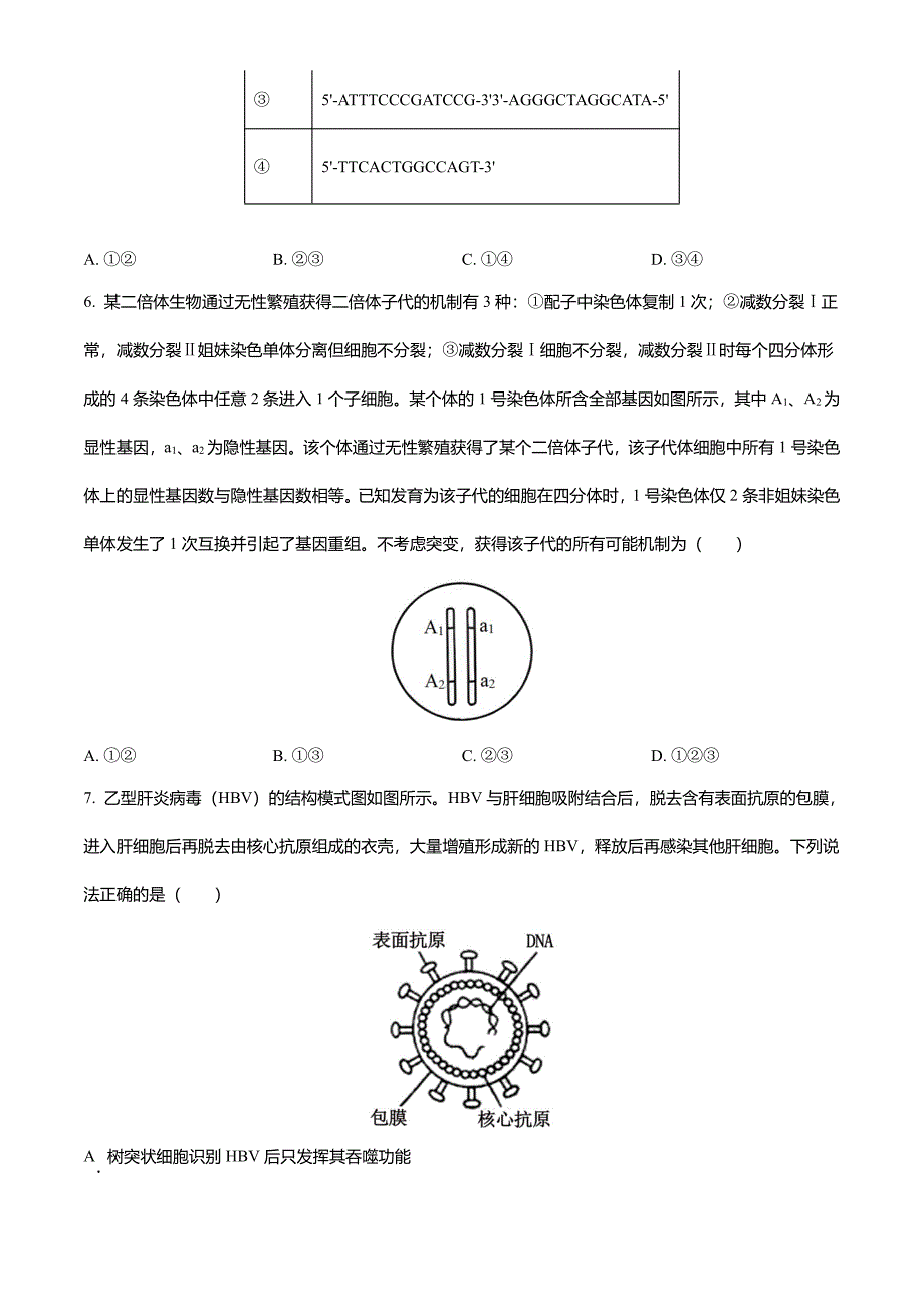 2024年新课标山东省普通高中学业水平选择性考试生物学高考真题(适用于山东)-word版无答案_第3页