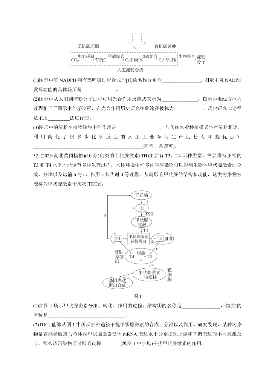 2024届高考生物学模拟试题精编新课标卷9(含解析)_第3页