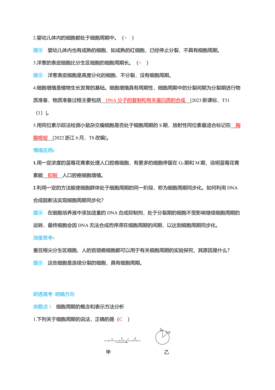 备考2025届高考生物一轮复习【讲义】第4章课时1考点1细胞增殖和细胞周期_第4页