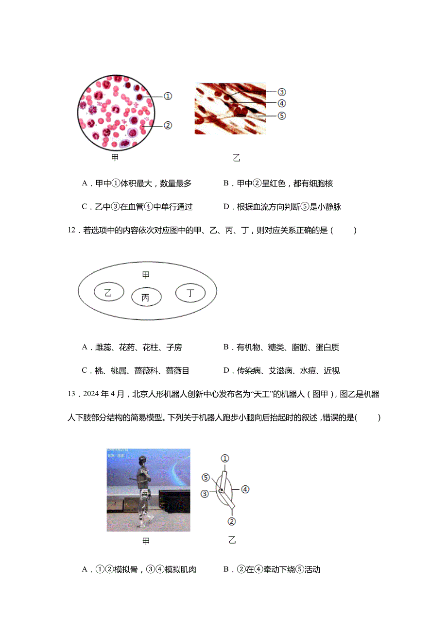 2024年吉林省长春市中考生物真题试卷及解析答案_第4页