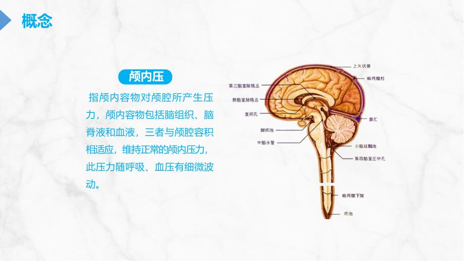 颅内压增高的护理 (2)_第4页