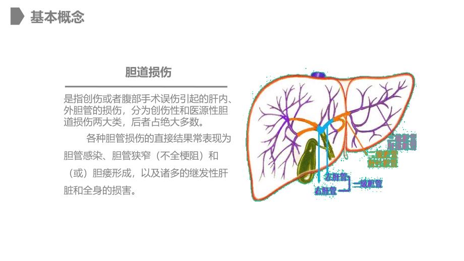 胆道损伤的护理 (2)_第4页