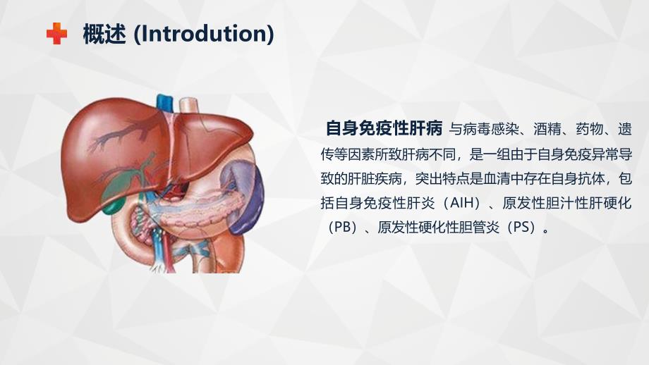 自身免疫性肝病护理查房_第4页