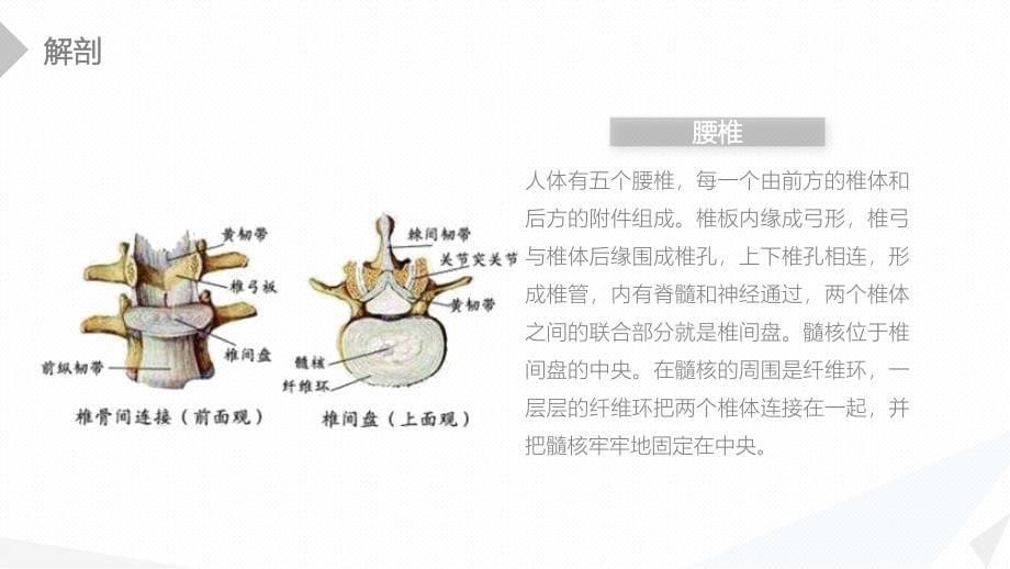 经前路腰椎手术的综合护理 (2)_第5页