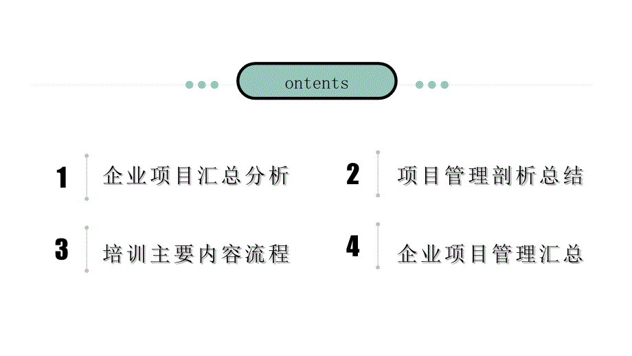 企业项目管理(2)_第3页