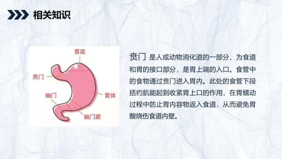 贲门癌伴脓胸吻合 口瘘护理查房_第4页