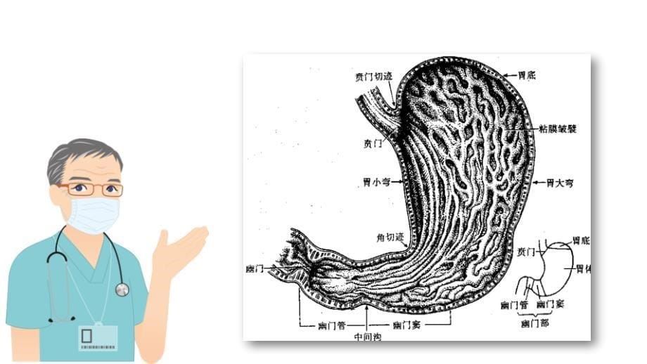 胃癌的护理查房 (2)_第5页