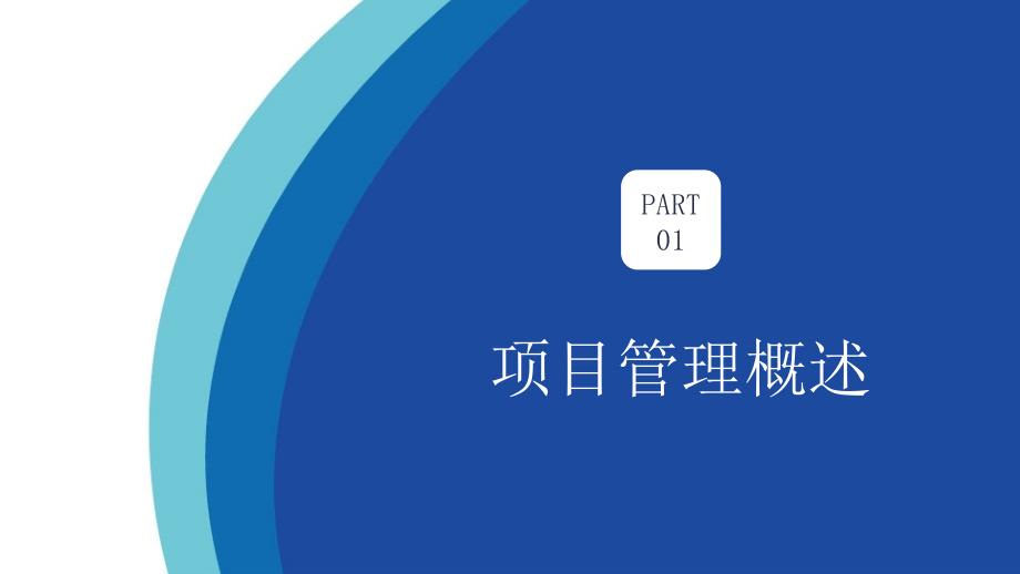 项目管理执行实务_第3页