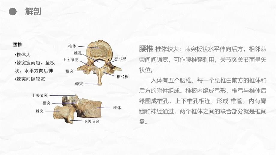 腰颈椎联合手术患者术后护理 (2)_第5页