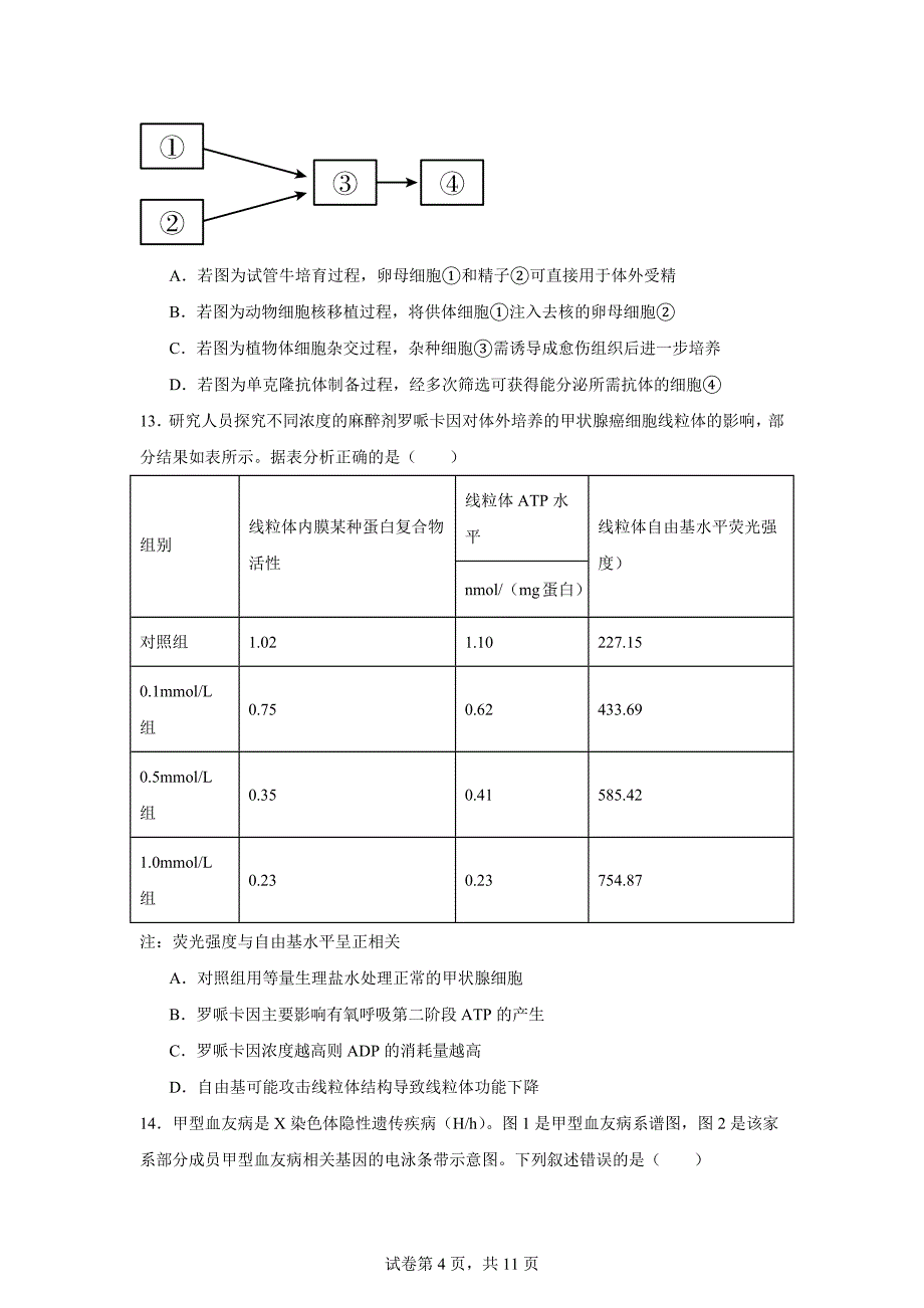 2024届福建省漳州市高三第四次教学质量检测生物试卷含答案详解_第4页