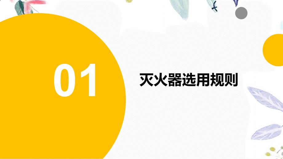 安全月（应急）培训：各种灭火器的选用规则和操作方法_第3页