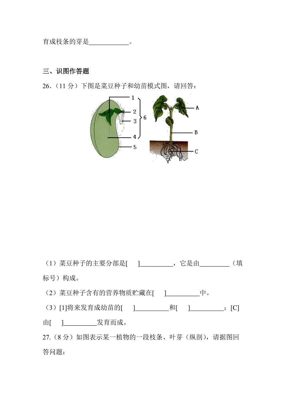 八年级生物上学期单元综合测试题12_第5页