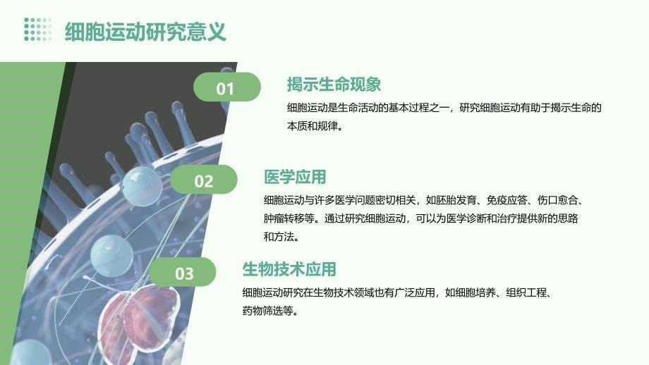 (医学课件)医学细胞生物学-细胞的运动_第5页