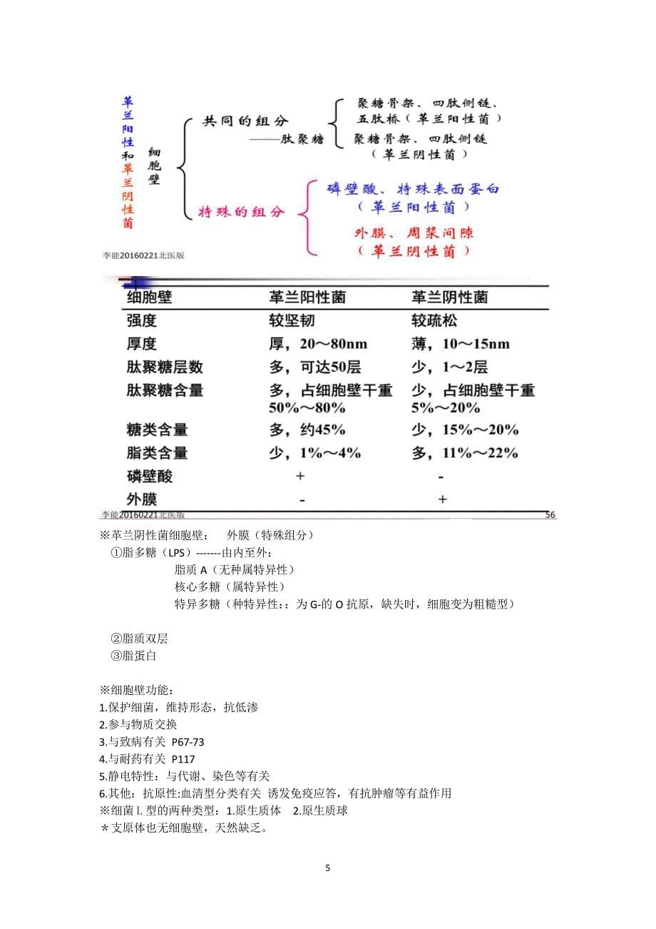 医学微生物学复习白皮书_第5页