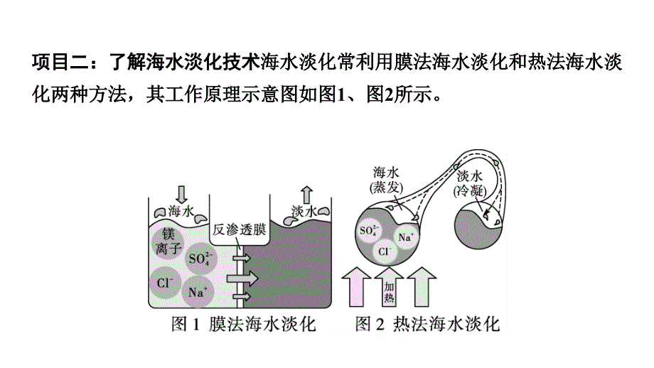 2024中考化学试题研究 跨学科实践活动一(课件)_第4页