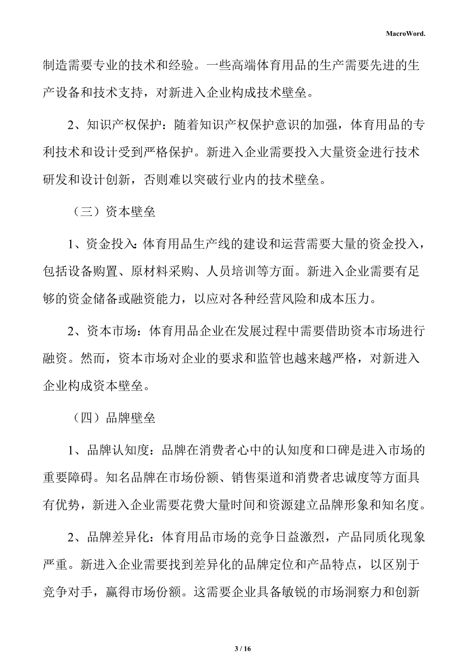 体育用品项目商业模式分析报告_第3页