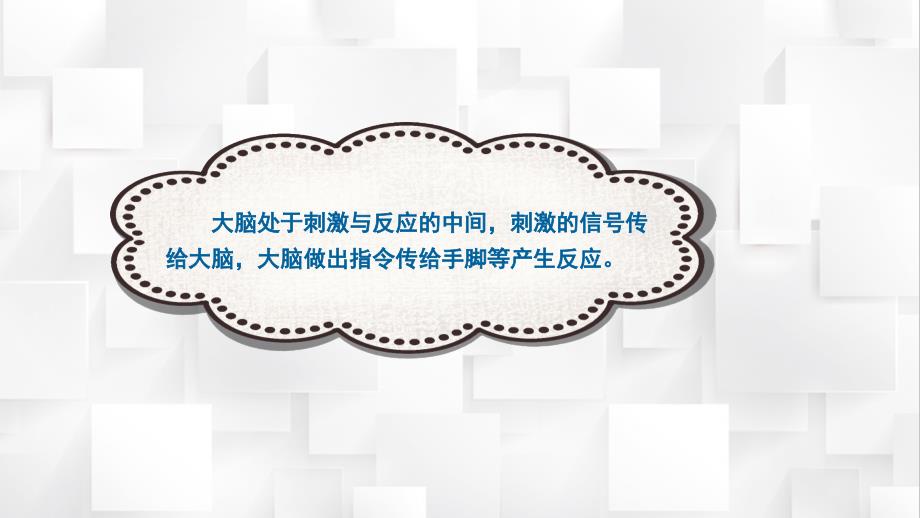 苏教版五年级上册科学5-18《从刺激到反应》教学课件_第4页