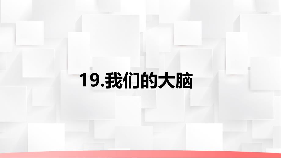 苏教版五年级上册科学5-19《我们的大脑》教学课件_第2页