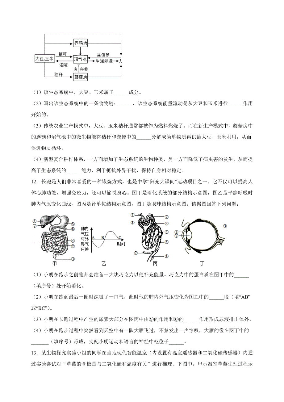 江苏省徐州市2024年中考二模生物试卷（含答案解析）_第4页