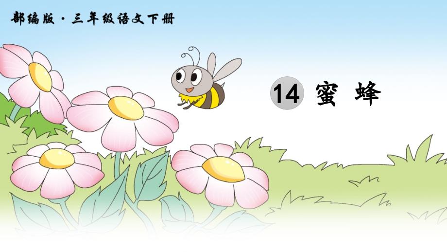 三年级下册语文课件-14 蜜蜂人教（部编版） (共40张PPT)_第2页