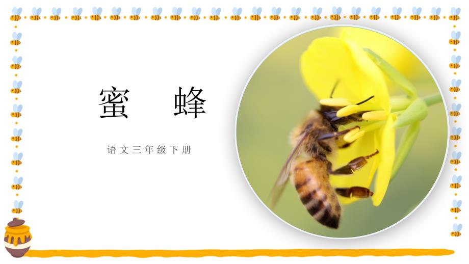14蜜蜂（课件）(共31张PPT).ppt_第1页