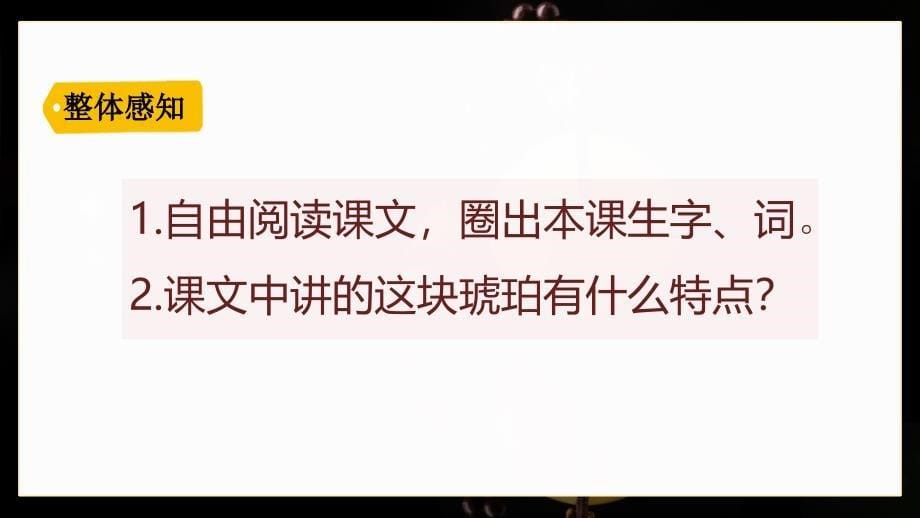 小学语文人教版四年级下册《琥珀》教育教学课件_第5页