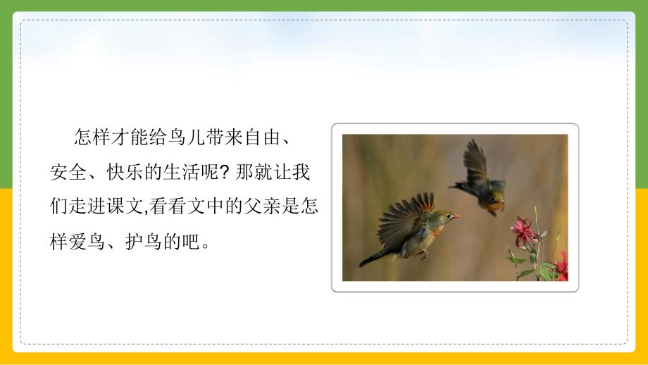 小学语文统编版三年级上册《父亲树林和鸟》教育教学课件_第4页