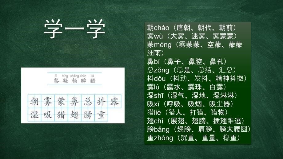 23 父亲、树林和鸟课件(共22张PPT).ppt_第5页