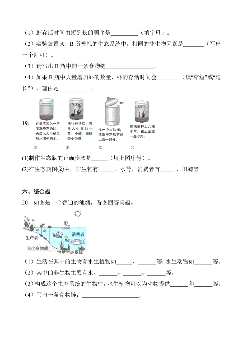 1.7 设计和制作生态瓶 分层作业科学五年级下册（教科版）_第4页