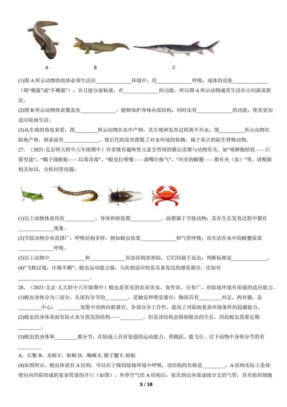 2021年北京重点校初二（上）期中生物试卷汇编：动物的主要类群1_第5页